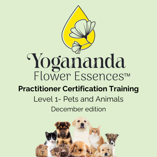 Pets & Animals Practitioner Certification Training for Yogananda Flower Essences - Level I of III For Sale