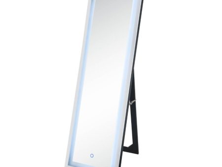 Nyoka - Floor Mirror - Mirrored Online Hot Sale