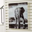 Glinyard - Black   White - Wall Art For Sale