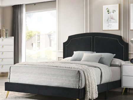 Zeena - Full Bed - Black Velvet Fashion