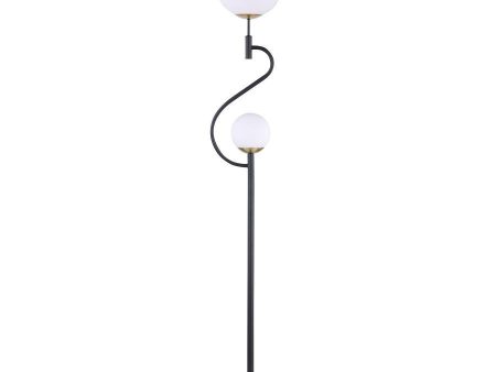 Dacki - Dual Spherical Bulb Metal Floor Lamp - Black For Cheap