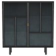 Dalia - 2 Door Accent Storage Cabinet With Shelving - Black Online