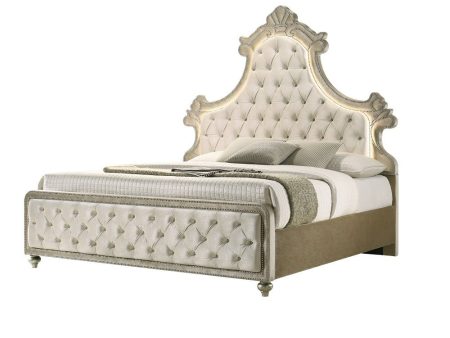 Lucienne - Bed With LED Online Sale