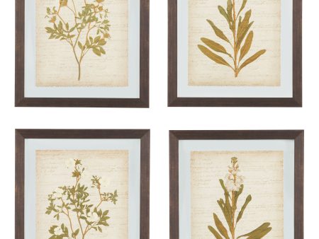 Dyani - Brown - Wall Art Set (Set of 4) Online Hot Sale