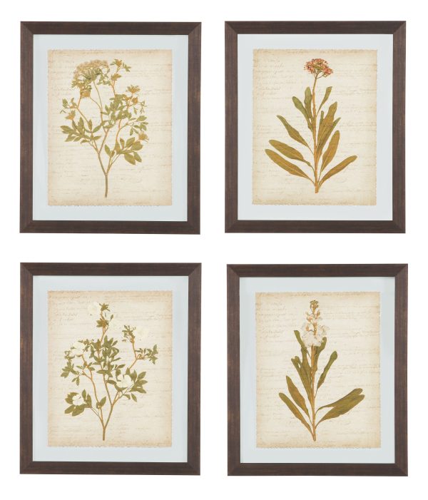 Dyani - Brown - Wall Art Set (Set of 4) Online Hot Sale