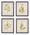 Dyani - Brown - Wall Art Set (Set of 4) Online Hot Sale