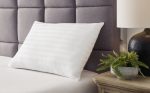 Zephyr 2.0 - Cotton Pillow For Discount