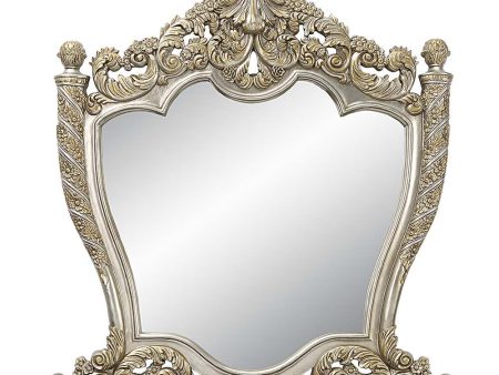 Danae - Mirror - Champagne & Gold Finish Sale