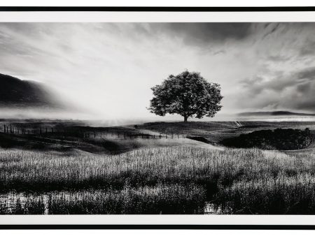 Deborland - Black   White - Wall Art Discount