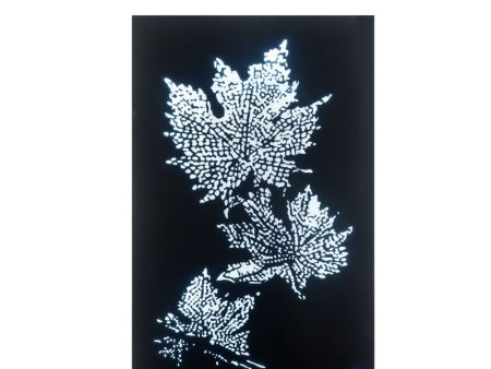 Hadrias - Wall Art - Smoky Glass & Faux Crystal Online