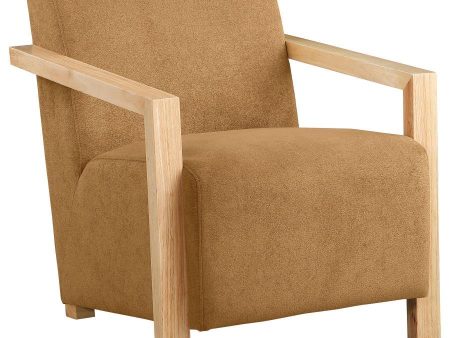 Diego - Upholstered Accent Arm Chair With Wood Arms Online Hot Sale