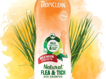 TropiClean Maximum Strength Natural Flea and Tick Dog Shampoo for Flea and Tick Prevention for Dogs Online