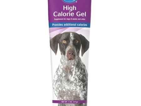 Petag High Calorie Gel Supply