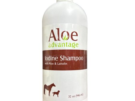 Aloe Iodine Shampoo Sale