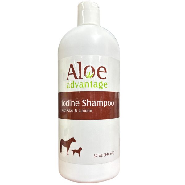 Aloe Iodine Shampoo Sale