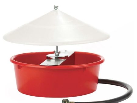 Little Giant Automatic Chicken Waterer w  Cover, 5 quart Hot on Sale