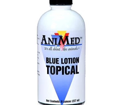 AniMed Blue Lotion Sale